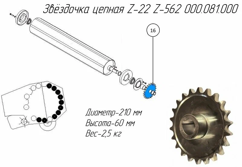 Звёздочка цепная Z-22 Z-562 000.081.000
